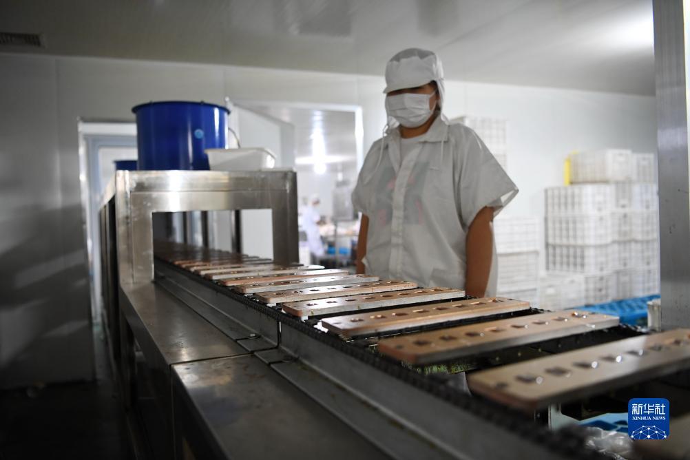 途游游戏大厅